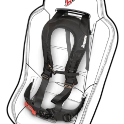 Dragonfire EVO 4 Point 2" Harness